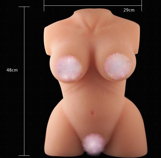 Phân phối Búp bê nữa thân