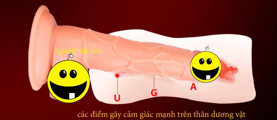 Dương Vật Giả Mini Rung Ịn Tường Kích Thích Mua Ngay