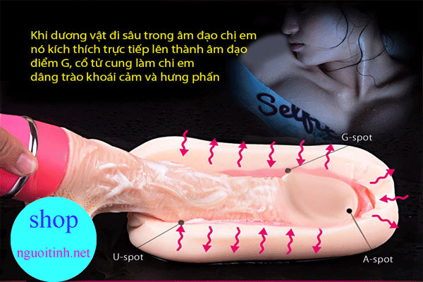 Dương Vật Giả Cao Cấp USA Rung Thụt Tạo Nhiệt Kích Thích